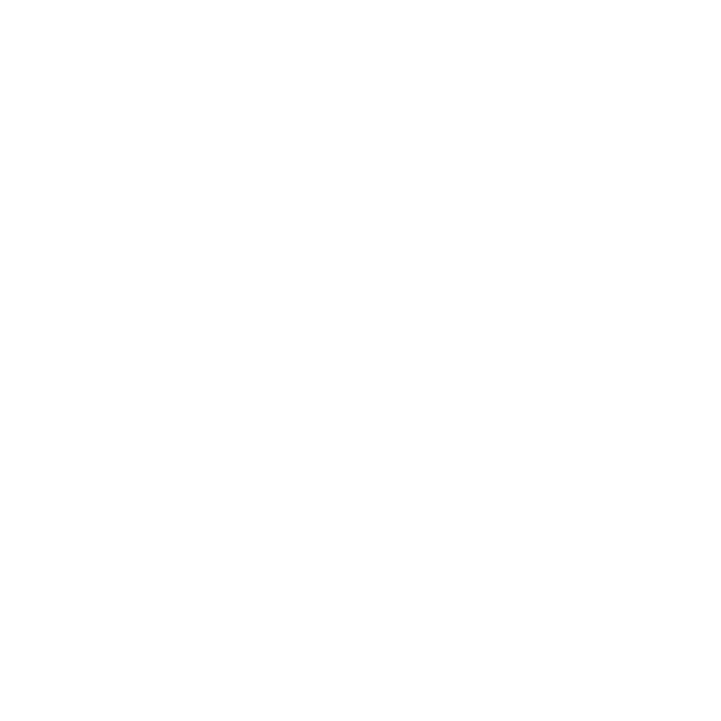 Lighthouse Brands Icon