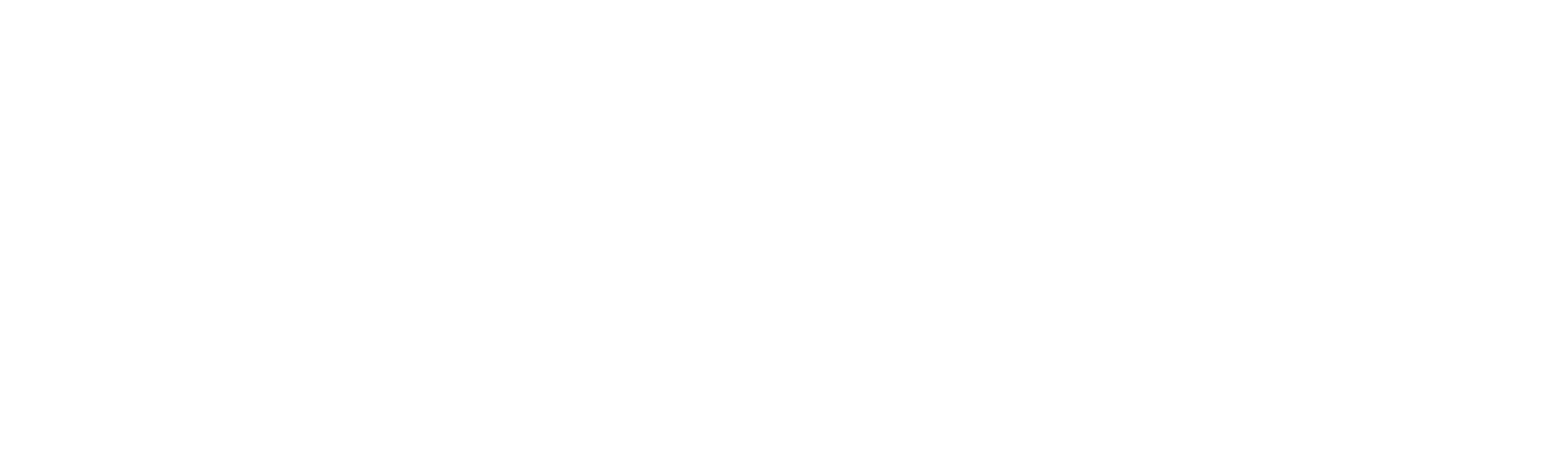 Lighthouse Brands Logo